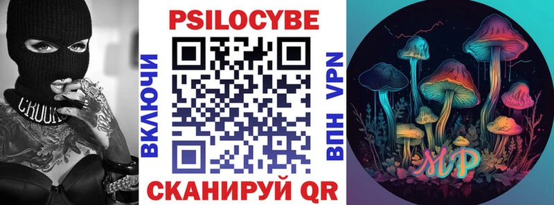 Псилоцибиновые грибы Psilocybe  наркошоп  Бабаево 