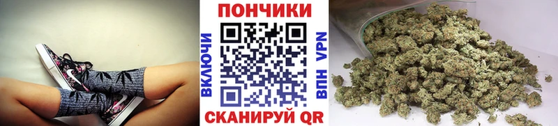 закладки  Бабаево  МАРИХУАНА гибрид 